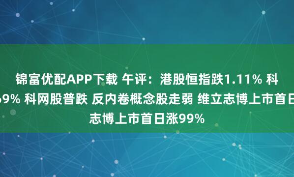 锦富优配APP下载 午评：港股恒指跌1.11% 科指跌1.69% 科网股普跌 反内卷概念股走弱 维立志博上市首日涨99%