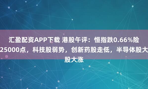 汇盈配资APP下载 港股午评：恒指跌0.66%险守25000点，科技股弱势，创新药股走低，半导体股大涨